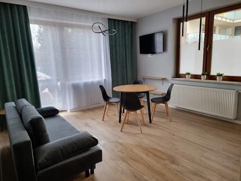 Sunny apartment in the center