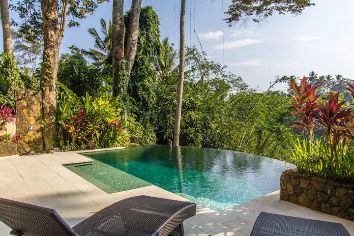 Luxe Cliff-side Jungle Villa - Ubud