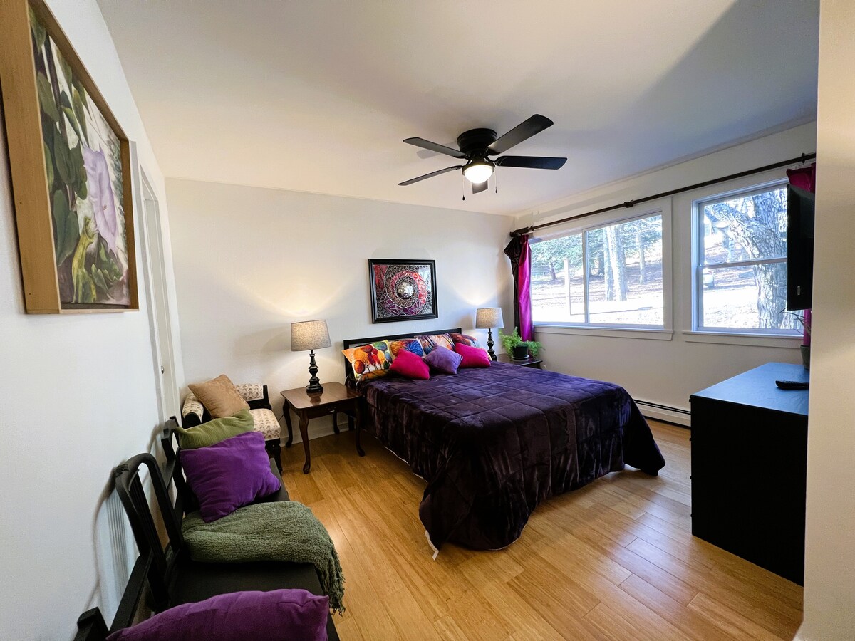 Chumba cha kulala kilicho na kitanda cha malkia na kabati ya kuingia. Televisheni janja na kebo ya Stowe. 