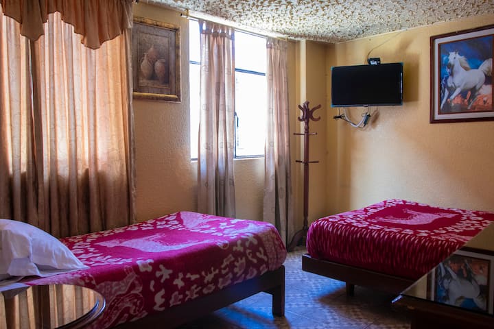 Habitación 1