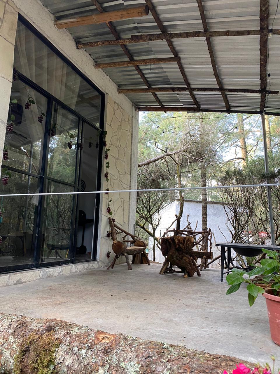 A porch area features rustic wooden seating and a small table, surrounded by greenery. Large glass doors lead indoors, providing an open connection to the natural surroundings. A gravel path and potted plants add a touch of color to the serene setting.