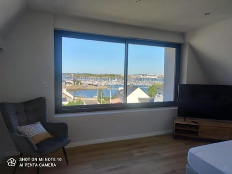 superb view of the port of Locmiquélic