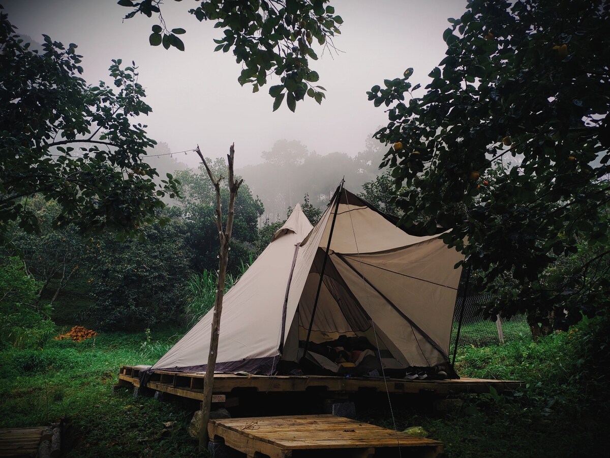 A glamping tent is nestled among lush greenery, with mist gently enveloping the scene. The tent is positioned on a wooden platform, surrounded by trees. Its fabric is light-colored, contrasting with the vibrant foliage in the background.