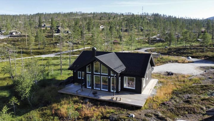 Beautiful ski in-out cabin