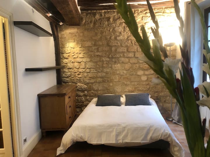 Marais - Superbe Appartement - Paris
