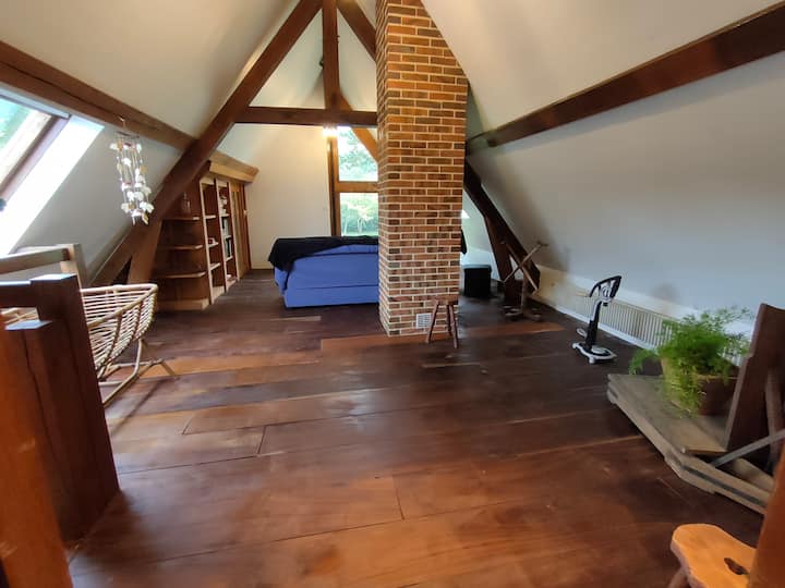 Всекидневна 2