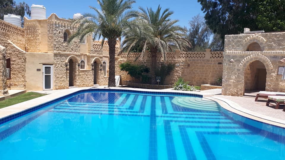 A large swimming pool is surrounded by well-maintained greenery, with palm trees situated nearby. The pool features a geometric tile pattern and is bordered by stylish loungers. The space is designed to foster relaxation in a serene environment.