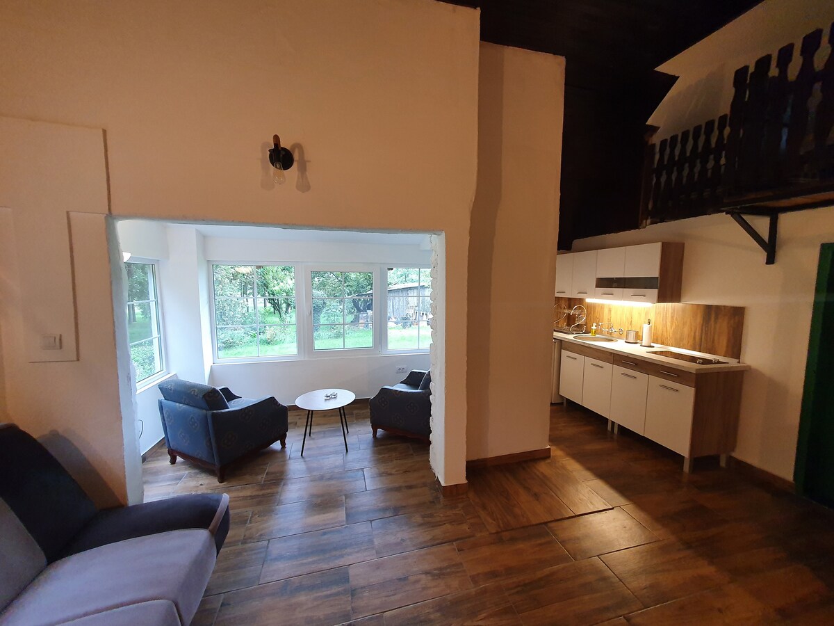 A comfortable seating area includes two armchairs positioned around a small table, with large windows providing a view of the greenery outside. A well-equipped kitchen is visible in the background, featuring modern cabinetry and appliances.