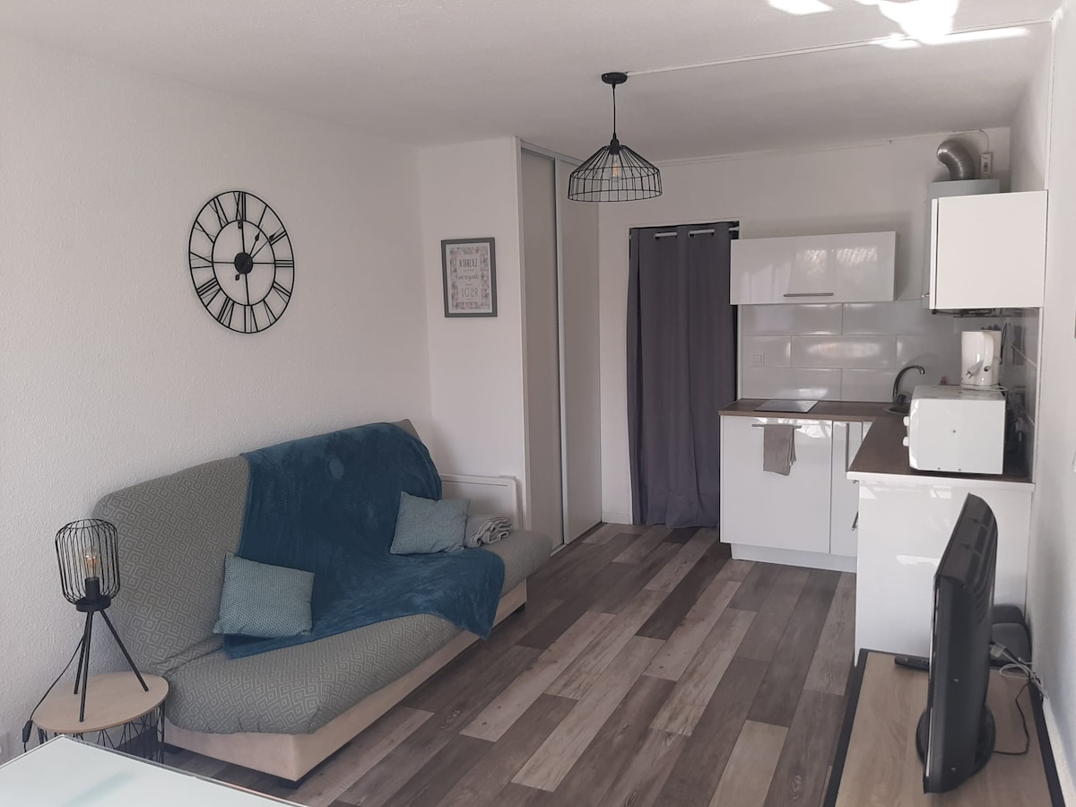 Joli studio Centre Port Cap d 'Agde Apartments for Rent in Agde