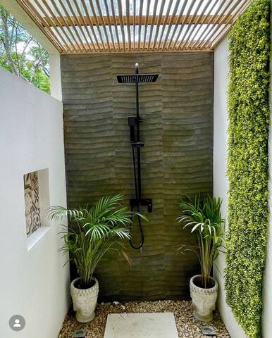 Bodhi Tree Room