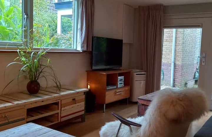 Tiny Gardenhouse Knus - Wijk bij Duurstede