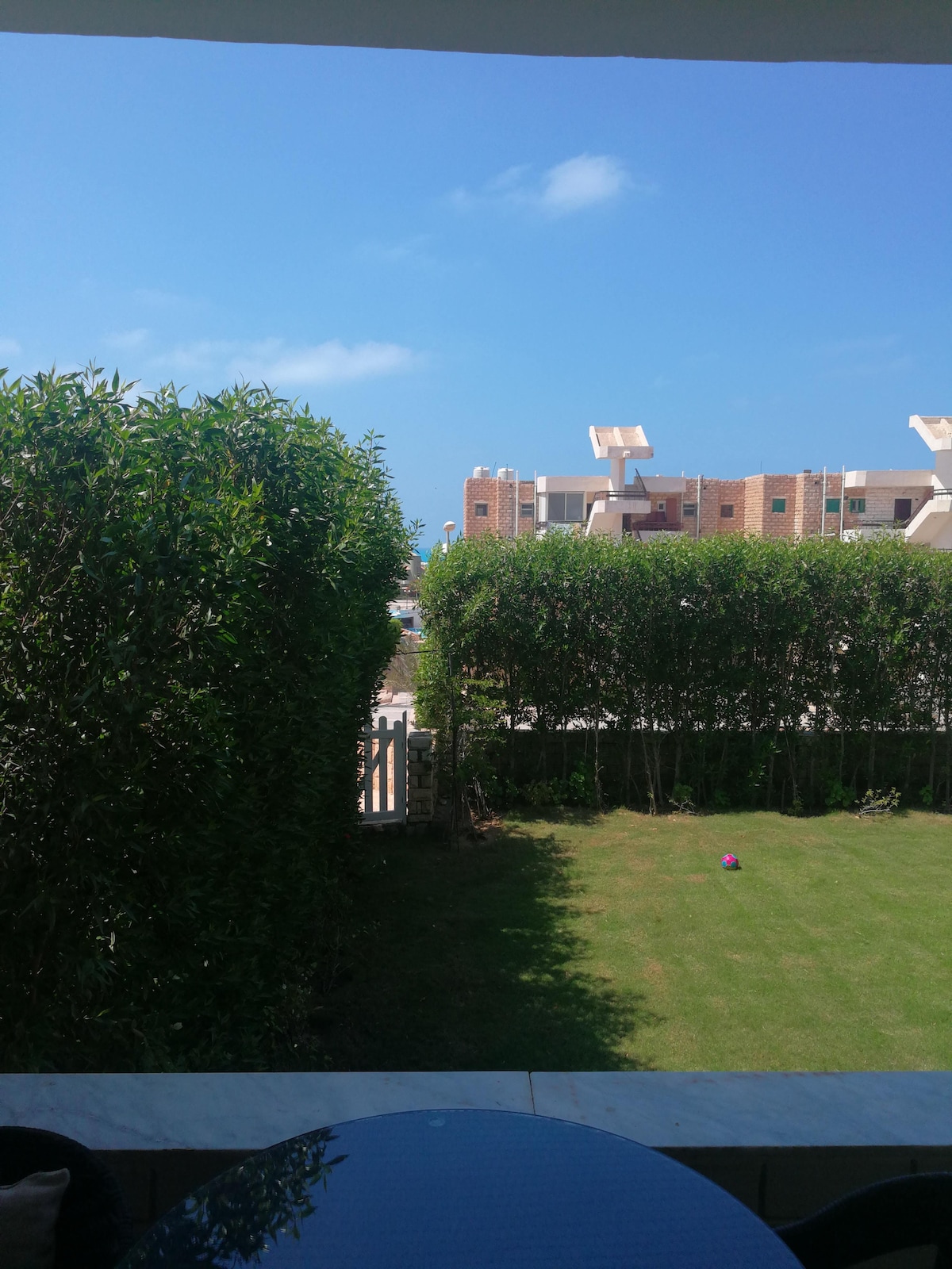 An outdoor terrace is visible, framed by lush green hedges. A clear blue sky stretches overhead, with sunlight illuminating the well-maintained garden below. The grass appears neatly trimmed, contributing to a tranquil outdoor setting.