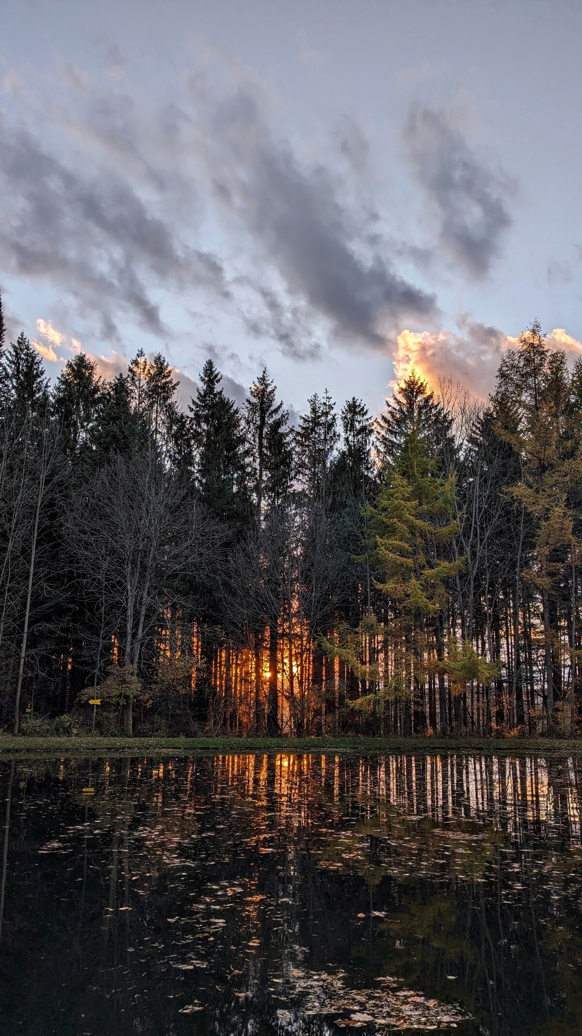 A peaceful pond reflects the vibrant sunset, surrounded by tall trees that frame the scene. The silhouette of the forest contrasts with the colorful sky and water, creating a serene atmosphere for relaxation.