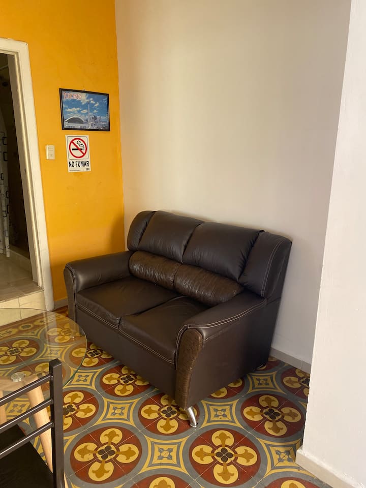 Departamento 3a Centro De León Gto - León, México