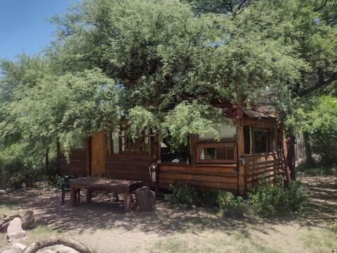 the nest

the treehouse