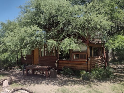 the nest
the treehouse