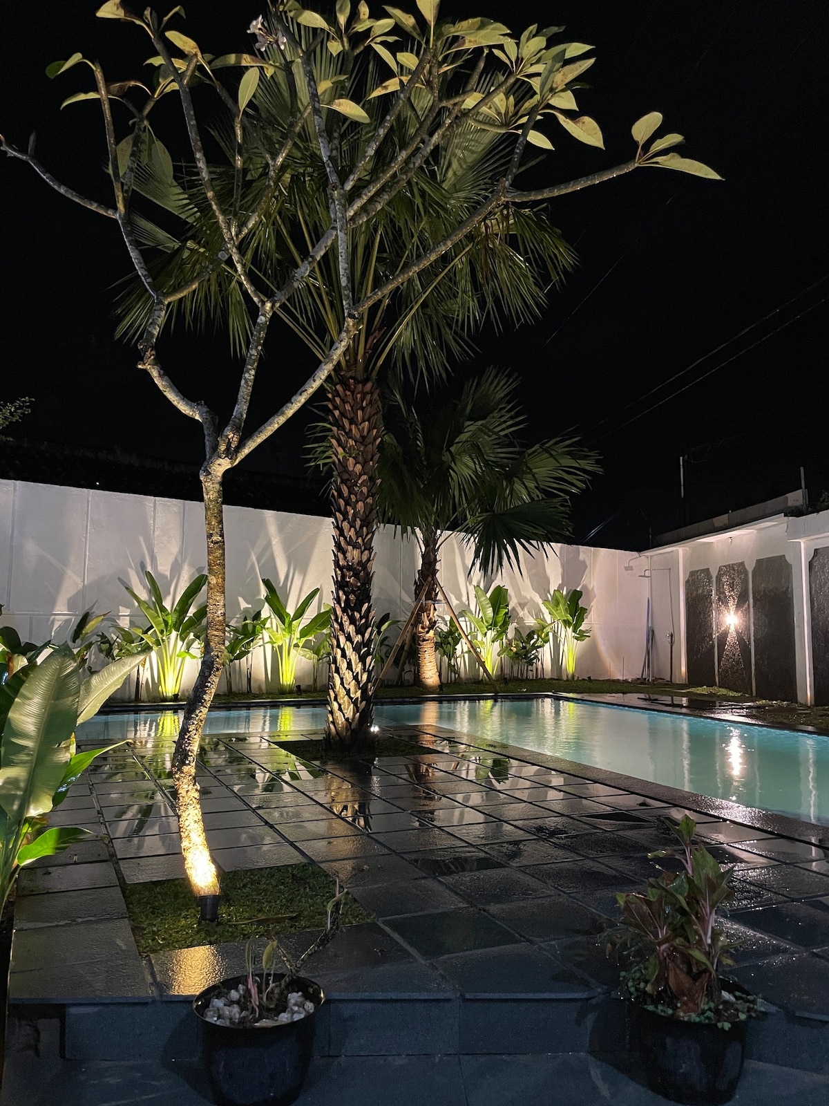 An inviting outdoor space is showcased at night, featuring a serene swimming pool surrounded by lush greenery. Tall palms and budding plants are softly illuminated, highlighting the tranquil atmosphere. The stone patio is visible, reflecting light from the pool and enhancing the calming environment.