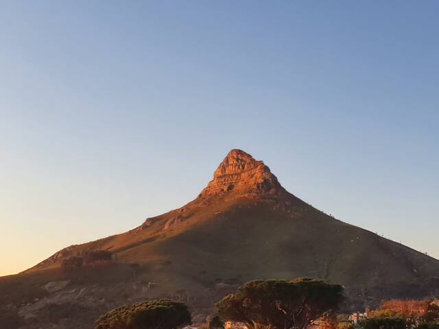 “Sunset Boulevard!” gallery image 5