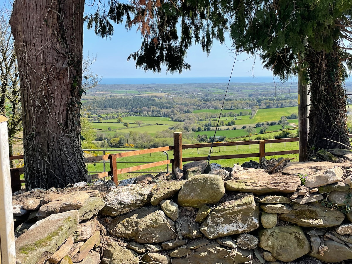 A scenic view is captured from the edge of a stone wall, showcasing the expansive green fields and the distant blue sea. Tall trees frame the image, creating a natural border that highlights the rolling landscape and clear skies above.