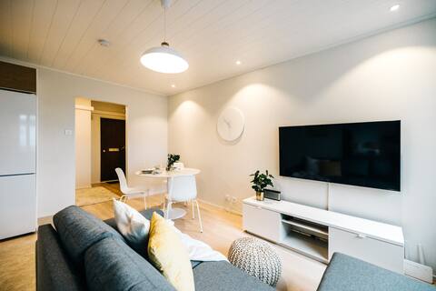 Bright one-bedroom apartment with sauna in the center (1-6 people)