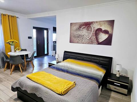 Concept Urban 1  Apartament  open-space
