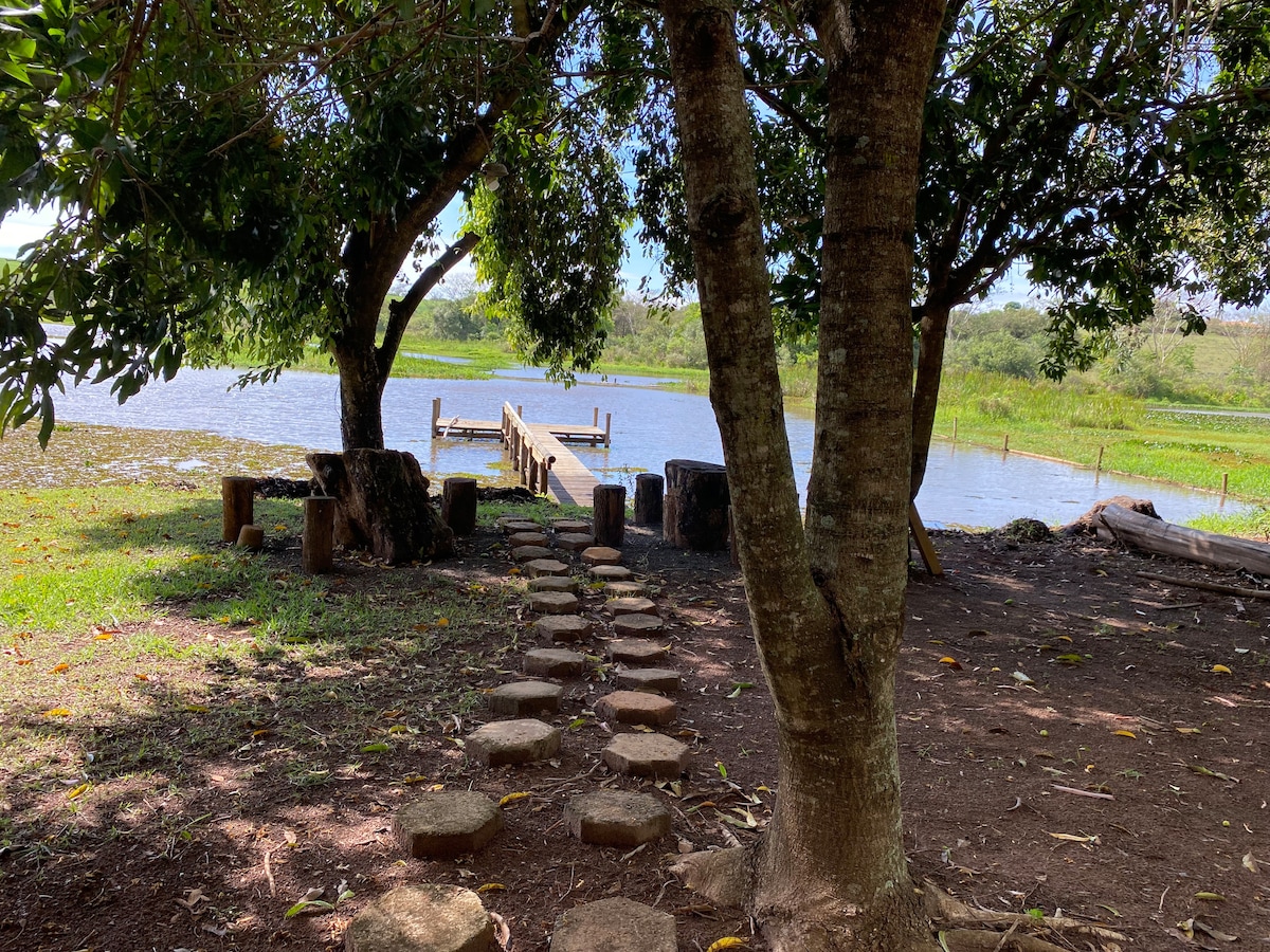 A serene outdoor area is framed by lush trees, featuring a path of stone stepping stones leading to a wooden dock by the water. Calm waters reflect greenery, while a gentle breeze rustles the leaves, enhancing this peaceful setting.