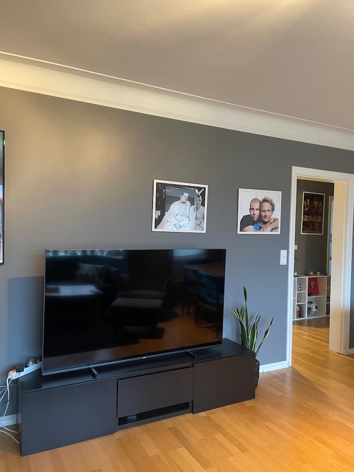 Charming condo in the heart of Reykjavík ! Condominiums for Rent in