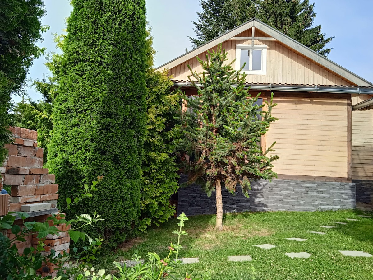 The exterior of a wooden chalet is framed by tall, lush trees, providing a natural, serene environment. A neatly maintained pathway of stepping stones leads through the greenery, guiding towards the entrance. The building features a window that adds to its charming character.