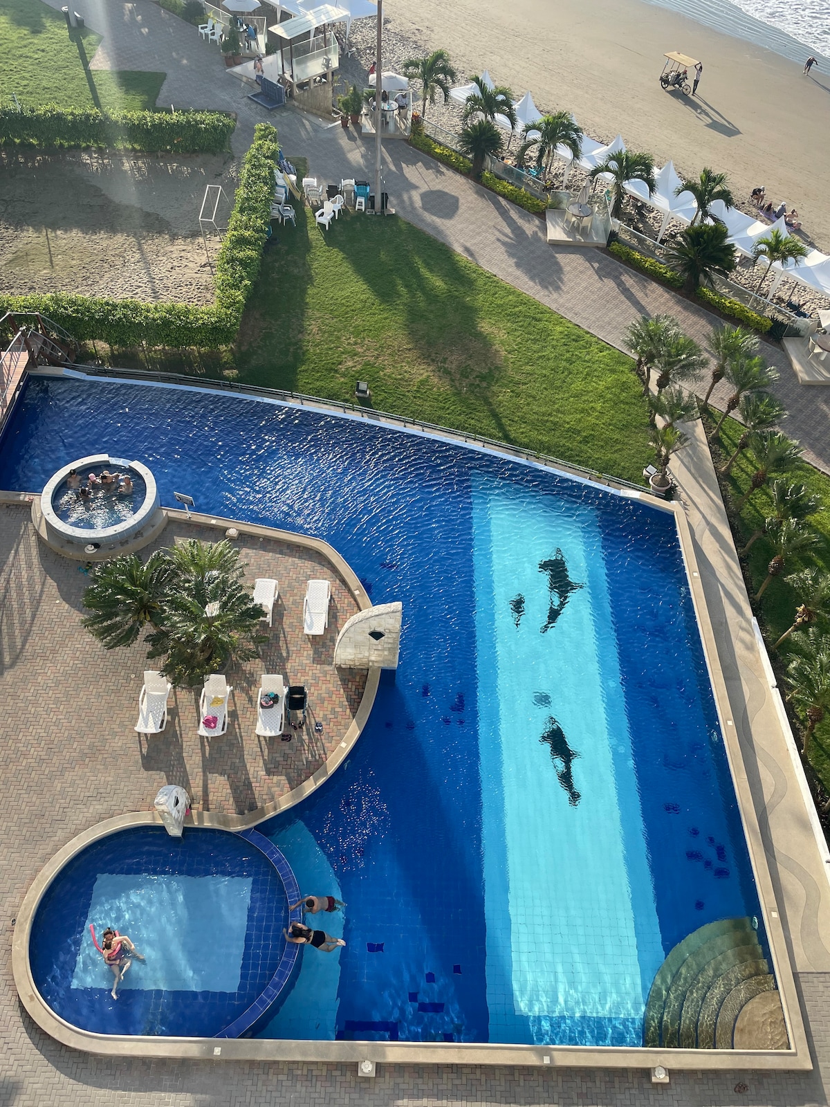 An aerial view of a large swimming pool area features multiple sections, including a spacious pool and a smaller hot tub. Sun loungers are positioned around the pool, surrounded by palm trees. The beach is visible in the background, enhancing the outdoor setting.