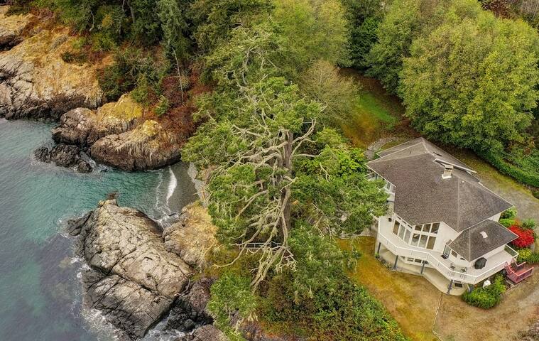 Unforgettable Oceanfront Experience in Sooke, BC gallery image 2