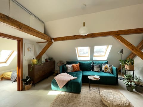 Cozy nest in the very centre of Brno