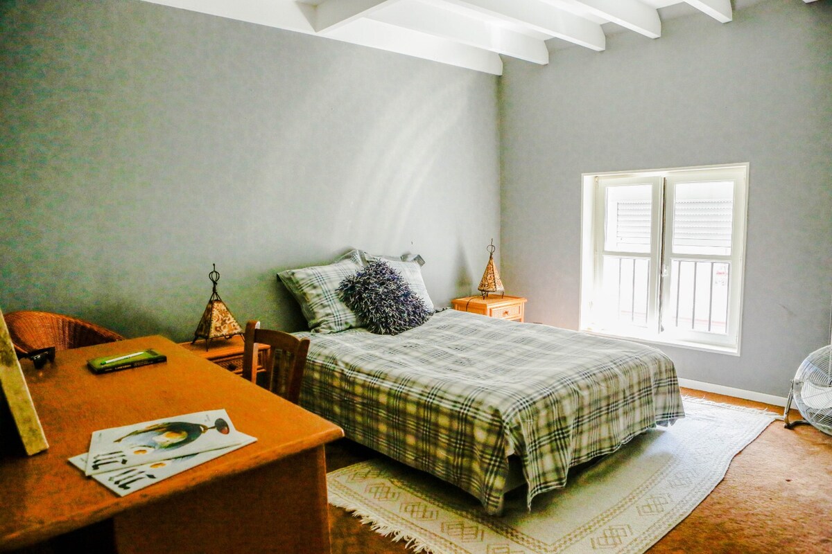 Стая  от 18 квадратни метра, разположена на улицата 