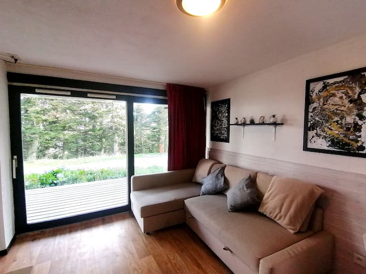 Le Chamroussien - Appartement 1700 - Chamrousse