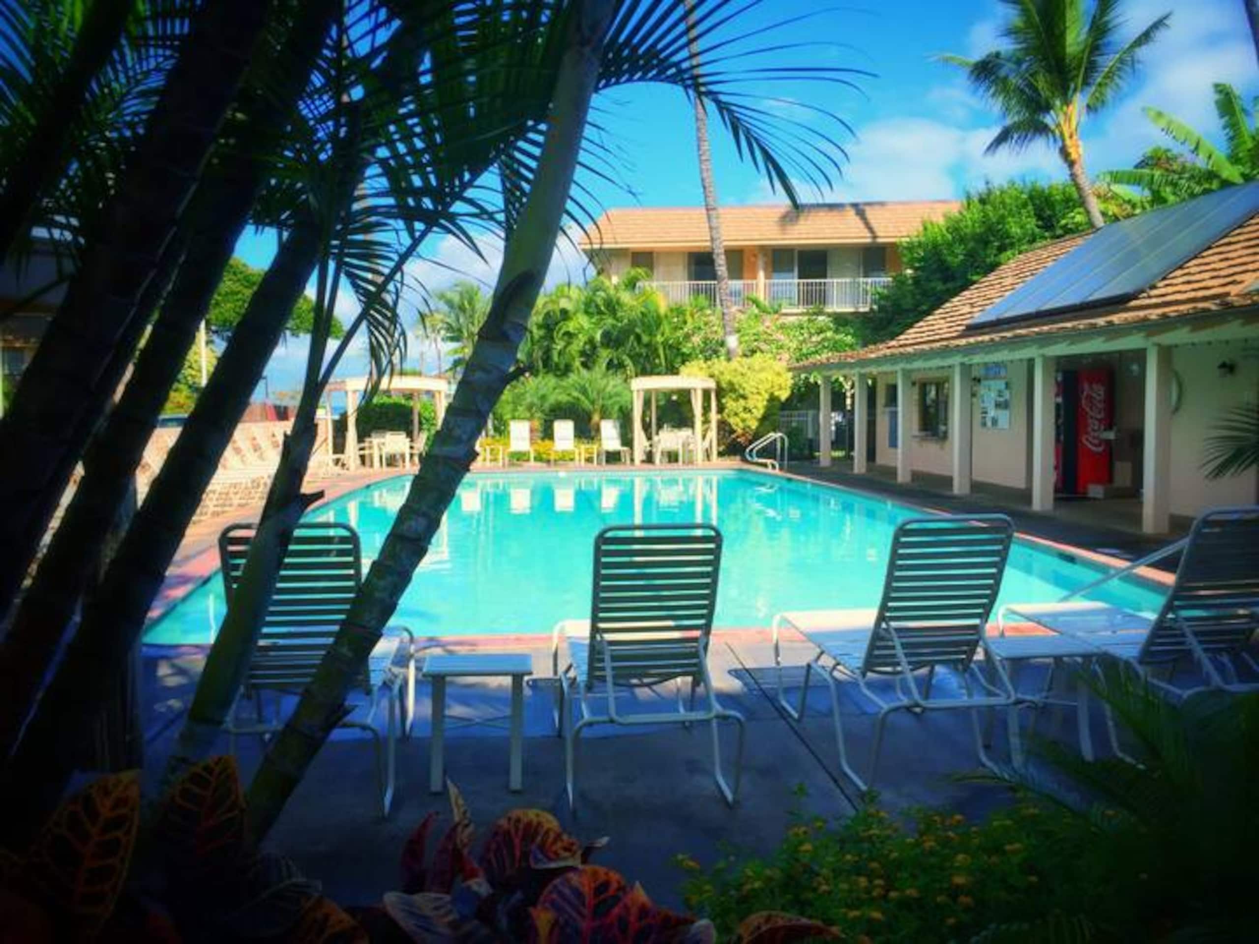 Condo in Kihei · ★4.9 · Studio · 2 beds · 1 private bath - Image 13