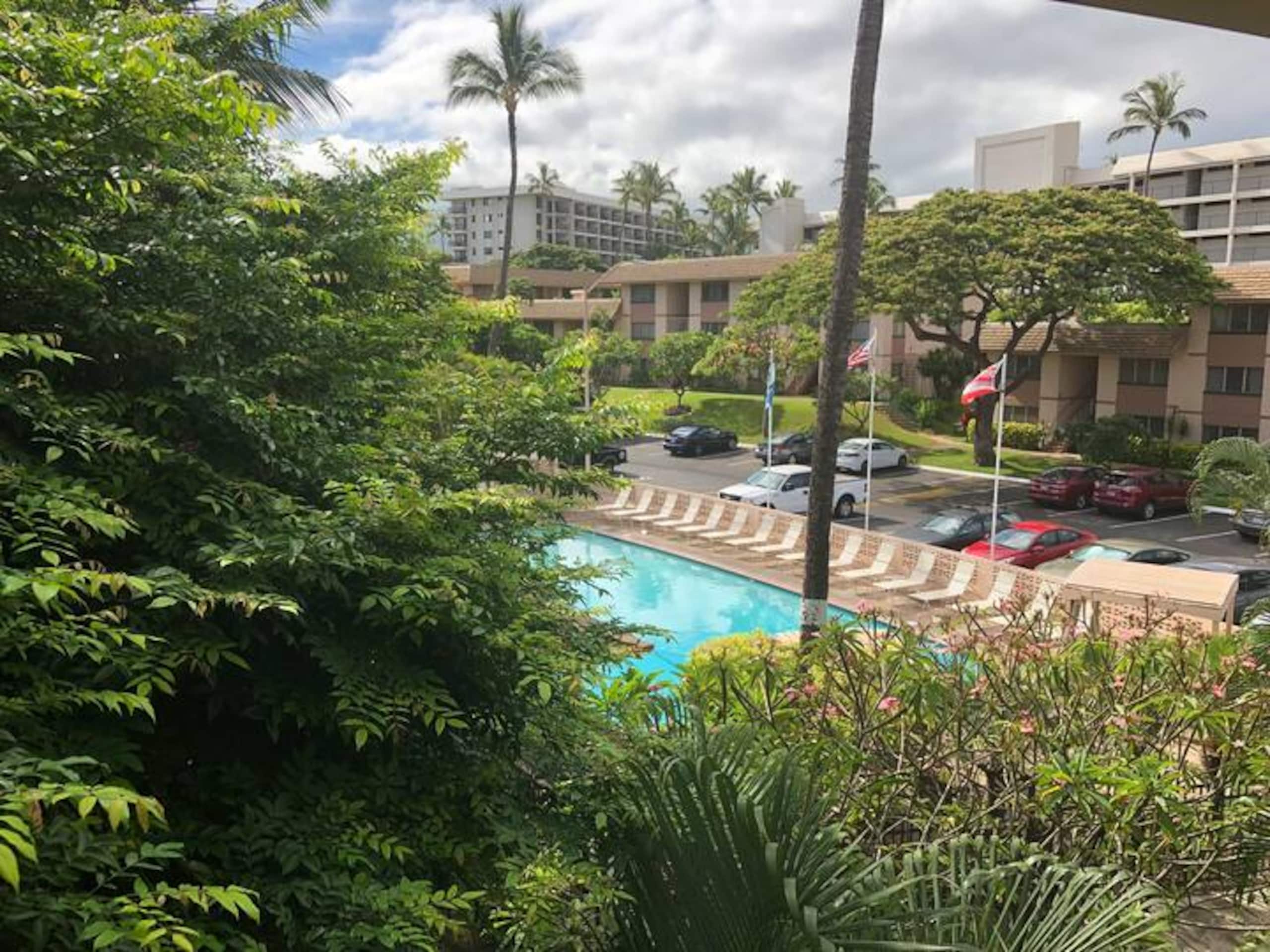Condo in Kihei · ★4.9 · Studio · 2 beds · 1 private bath - Image 12