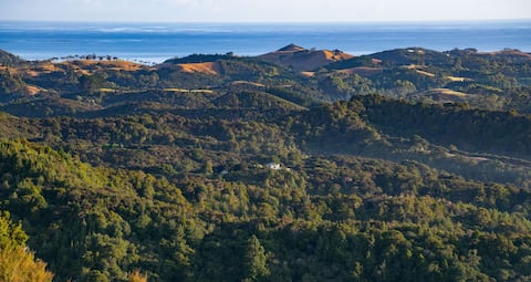 Top Airbnb: Retreat 480: Secluded | Tranquil | Natural in Whangarei District