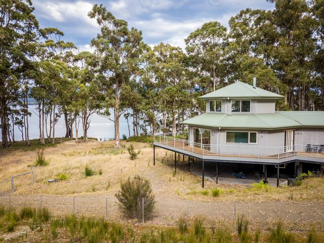 Tall Trees- Aurora Chaser’s Dream gallery image 4