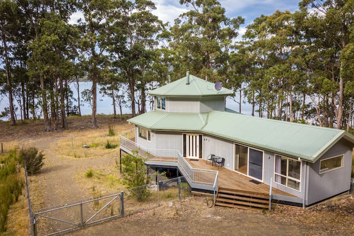 Tall Trees- Aurora Chaser’s Dream