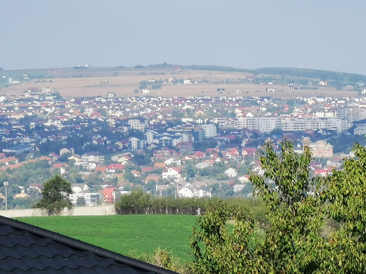 A panoramic view of a residential area is presented, featuring a mix of colorful houses set against a backdrop of rolling hills. The landscape reveals an organized layout of buildings, green fields, and distant farmland, showcasing the serene environment surrounding the location.