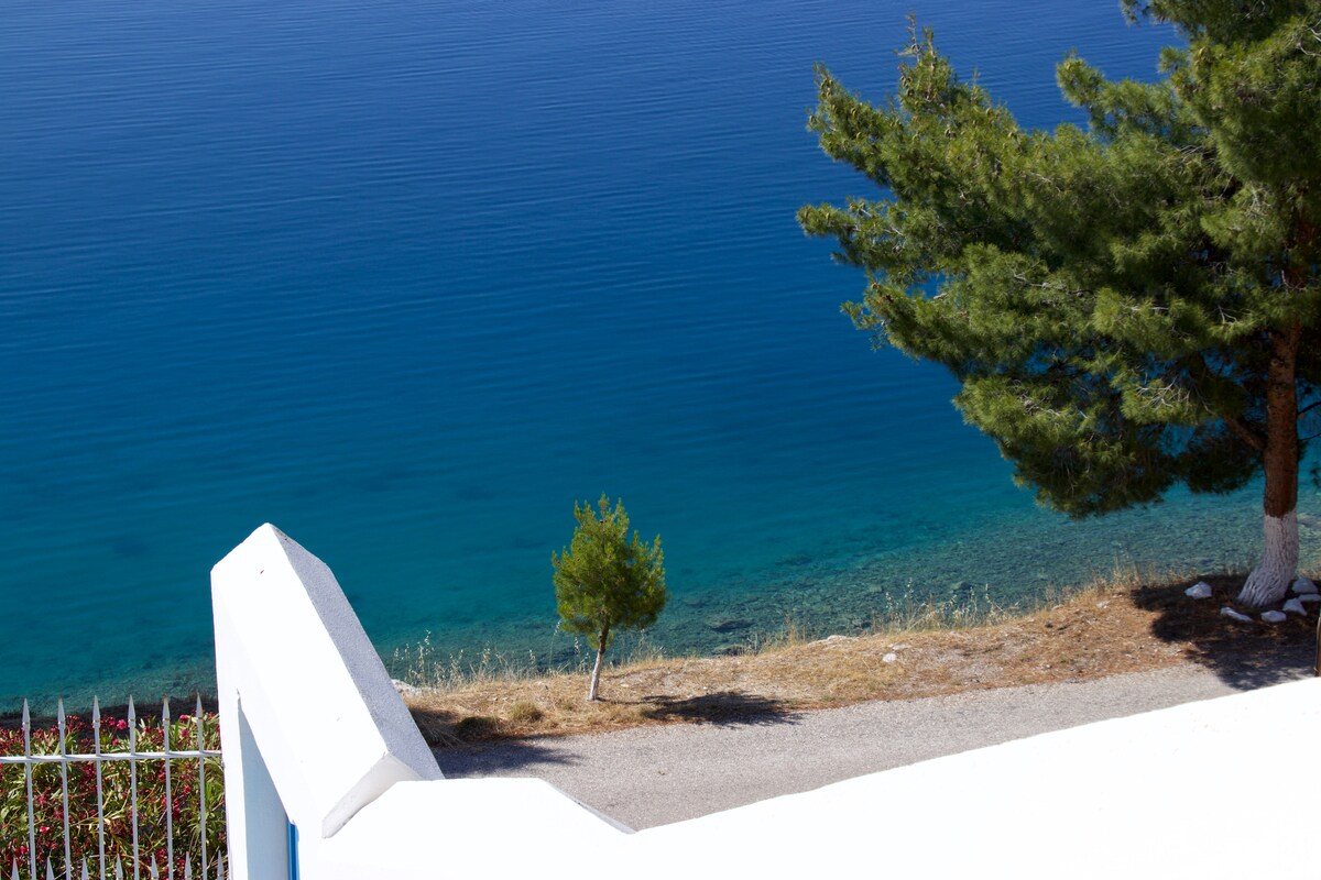 A serene view of clear blue waters is visible beyond a white railing. Lush greenery is present on the shore, contrasting with the vibrant blue of the sea. Gentle waves can be seen reflecting sunlight, creating a tranquil seaside atmosphere.