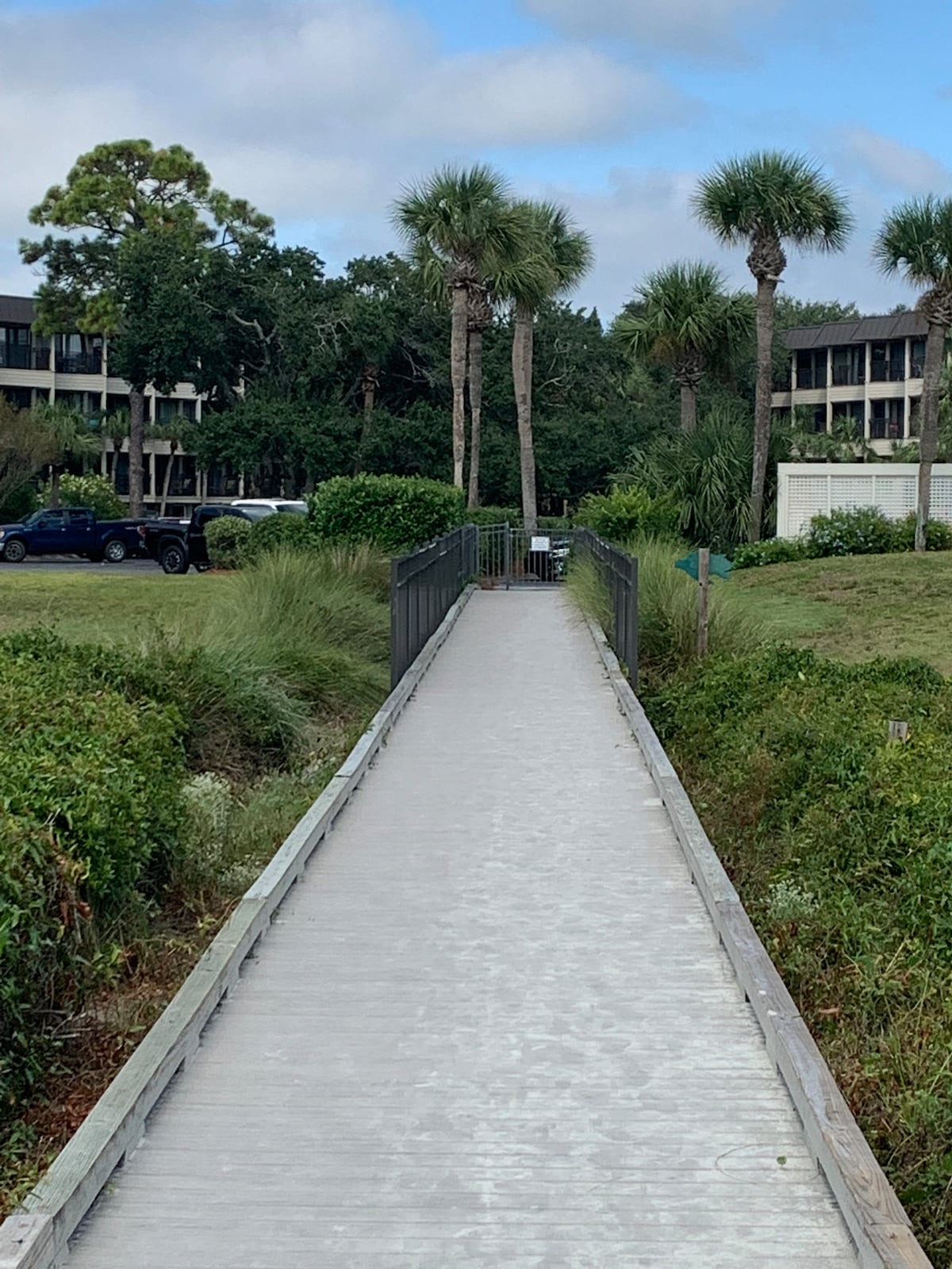 A wooden boardwalk is visible, guiding through lush green vegetation towards a courtyard. Palm trees are seen on either side, contributing to a natural landscape. In the background, the outlines of multi-story buildings are partially obscured by greenery.