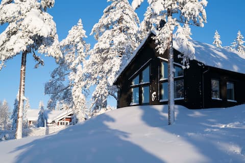 Modern cottage on Långberget