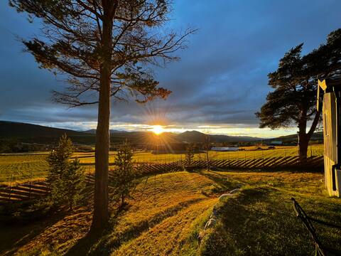 Newly renovated guest cottage w/ view to Rondane