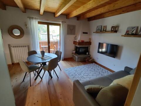 Panoramic apartment 150mt from the slopes