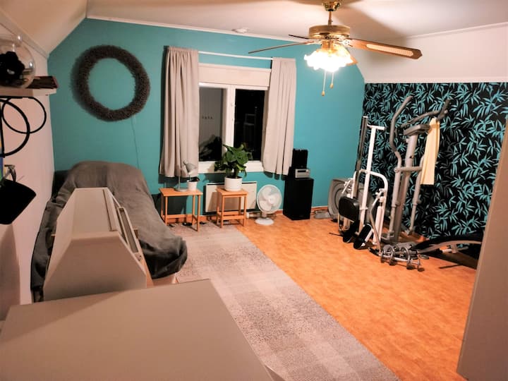 Chumba cha kulala cha ghorofani na vifaa vya mazoezi.