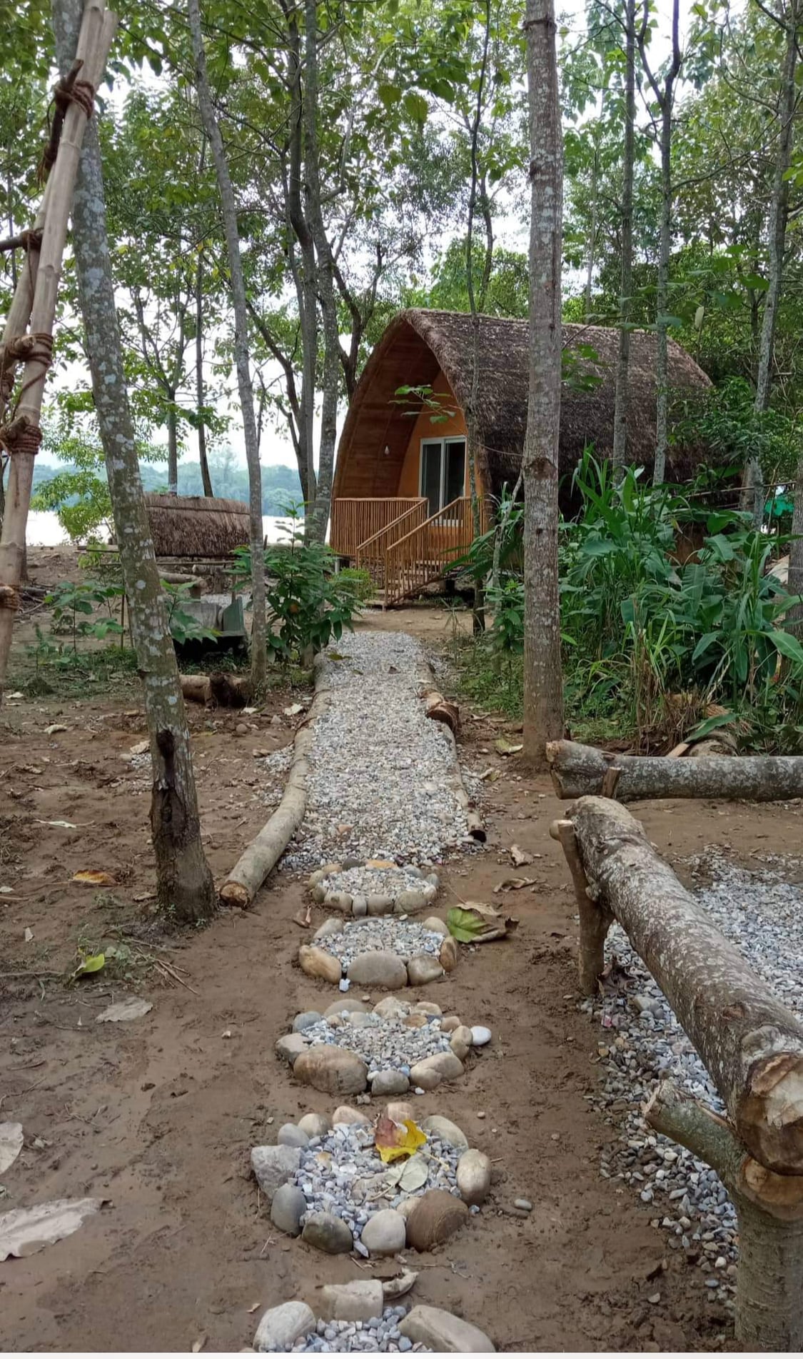 A charming thatched roof chalet is situated among trees, with a pathway of pebbles leading to the entrance. Lush greenery surrounds the structure, enhancing the natural setting. The outdoor area is defined by wooden logs and small rocks, creating a rustic ambiance.
