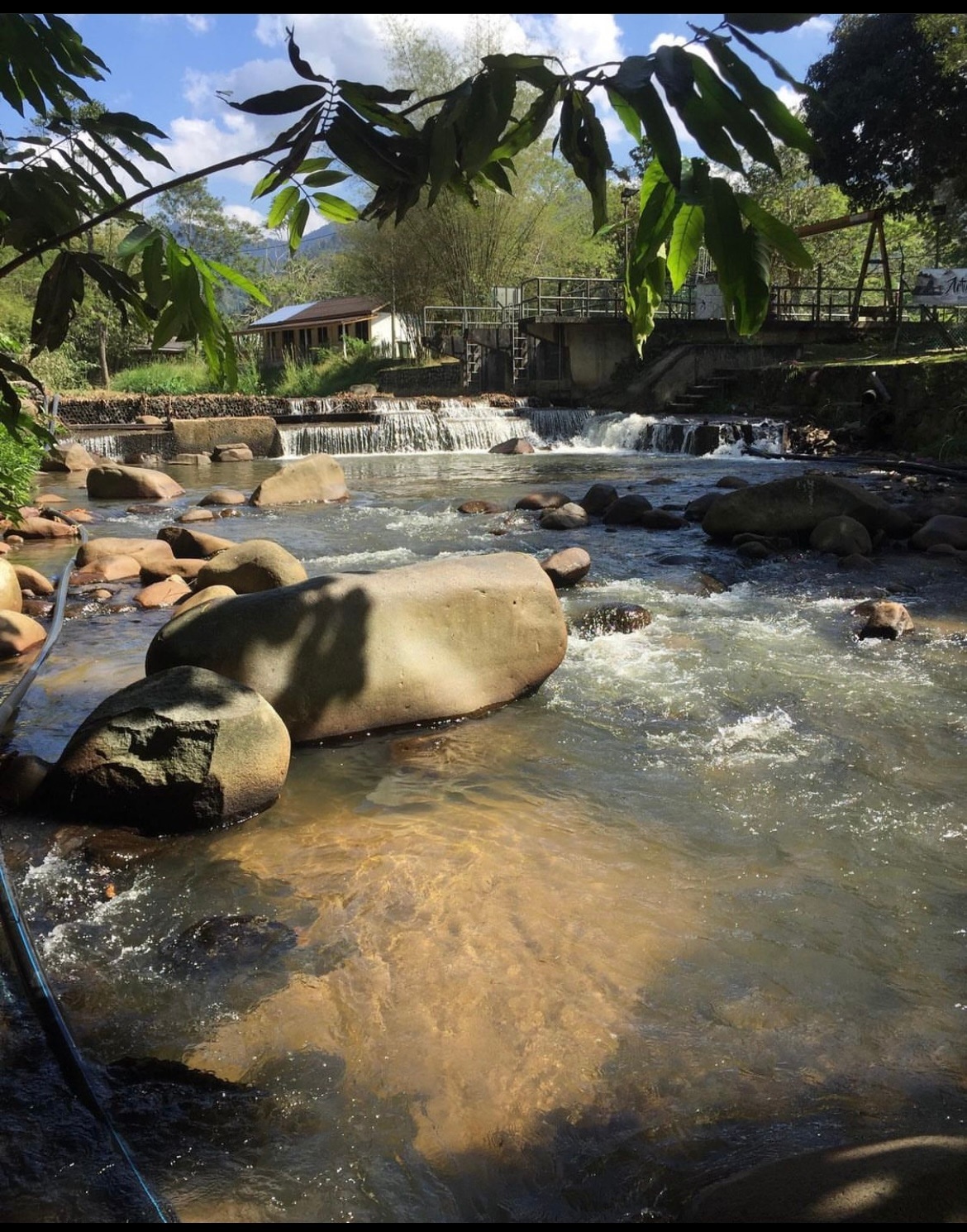 A clear river flows gently over smooth stones, with a small waterfall visible in the background. Lush greenery surrounds the water, while a bridge crosses overhead. Sunlight dapples the surface of the river, creating a serene atmosphere.