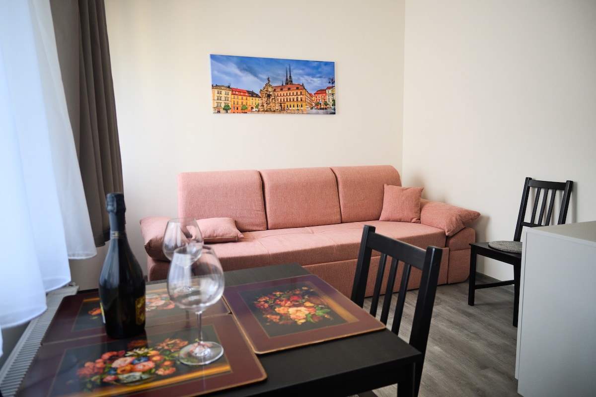 Дневна соба со кауч на спуштање за 160 x 200 см, телевизиски чешки канали.