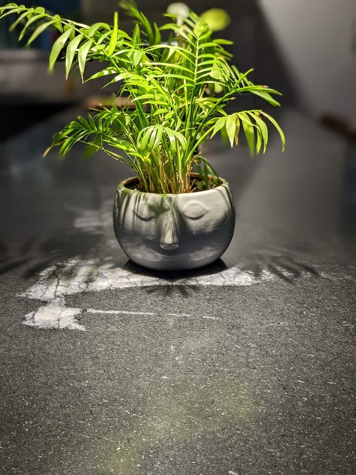 Dundedin Bamboo Beach Bungalow