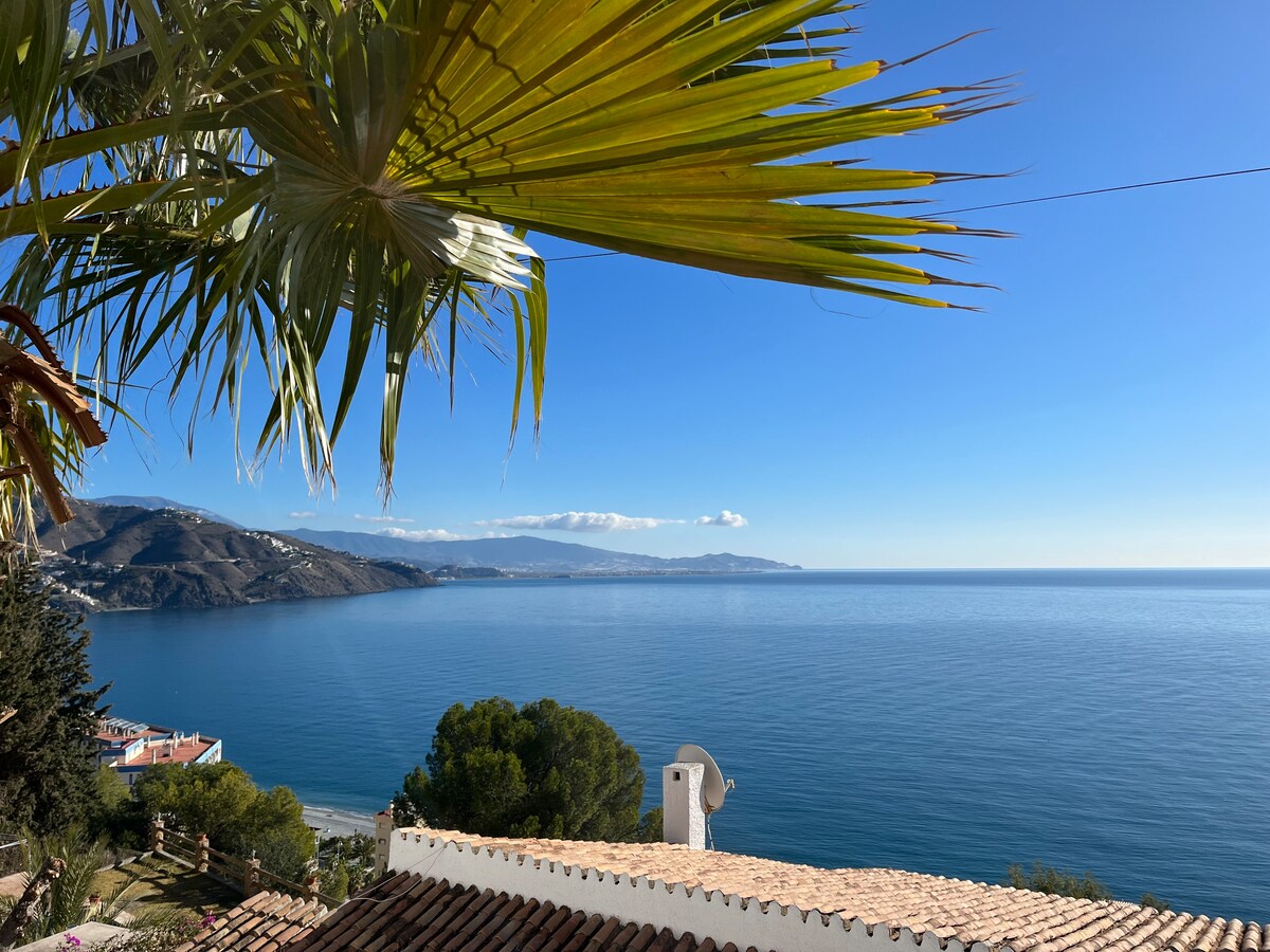 An expansive view of the serene sea is captured, framed by palm leaves. The calm waters reflect the clear blue sky, while distant mountains can be seen along the coastline, providing a tranquil backdrop.